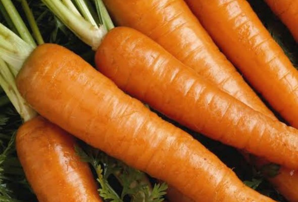 Carrots ?
